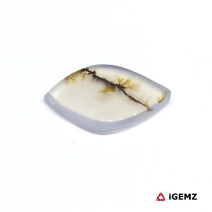 2.69 ct Brown Dendritic Agate - iGemz24606 gemstone for sale at igemz.co.za