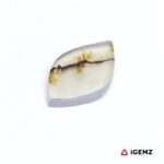 2.69 ct Brown Dendritic Agate - iGemz24606 gemstone for sale at igemz.co.za