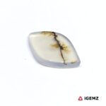 2.69 ct Brown Dendritic Agate - iGemz24606 gemstone for sale at igemz.co.za