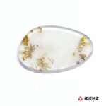 13.68 ct Brown Dendritic Agate - iGemz24609 gemstone for sale at igemz.co.za
