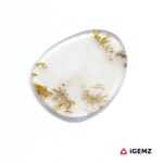 13.68 ct Brown Dendritic Agate - iGemz24609 gemstone for sale at igemz.co.za
