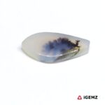 6.58 ct Brown Dendritic Agate - iGemz24612 gemstone for sale at igemz.co.za