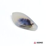 6.58 ct Brown Dendritic Agate - iGemz24612 gemstone for sale at igemz.co.za
