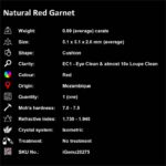 0.69 ct Red Garnet - iGemz20275