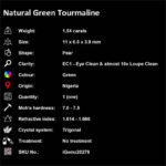 1.54 ct Chrome Green Tourmaline - iGemz20278