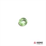 1.67 ct Green Tourmaline - iGemz20299G