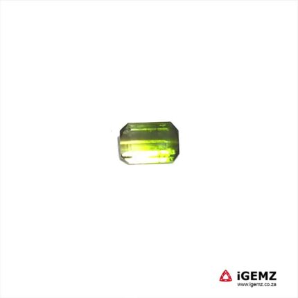 1.08 ct Bi-Colour Tourmaline - iGemz20301A