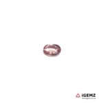 0.6 ct Pink Tourmaline - iGemz20357L