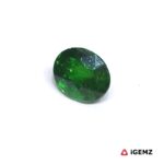 1.41 ct Green Garnet Tsavorite - iGemz24852 gemstone for sale at igemz.co.za